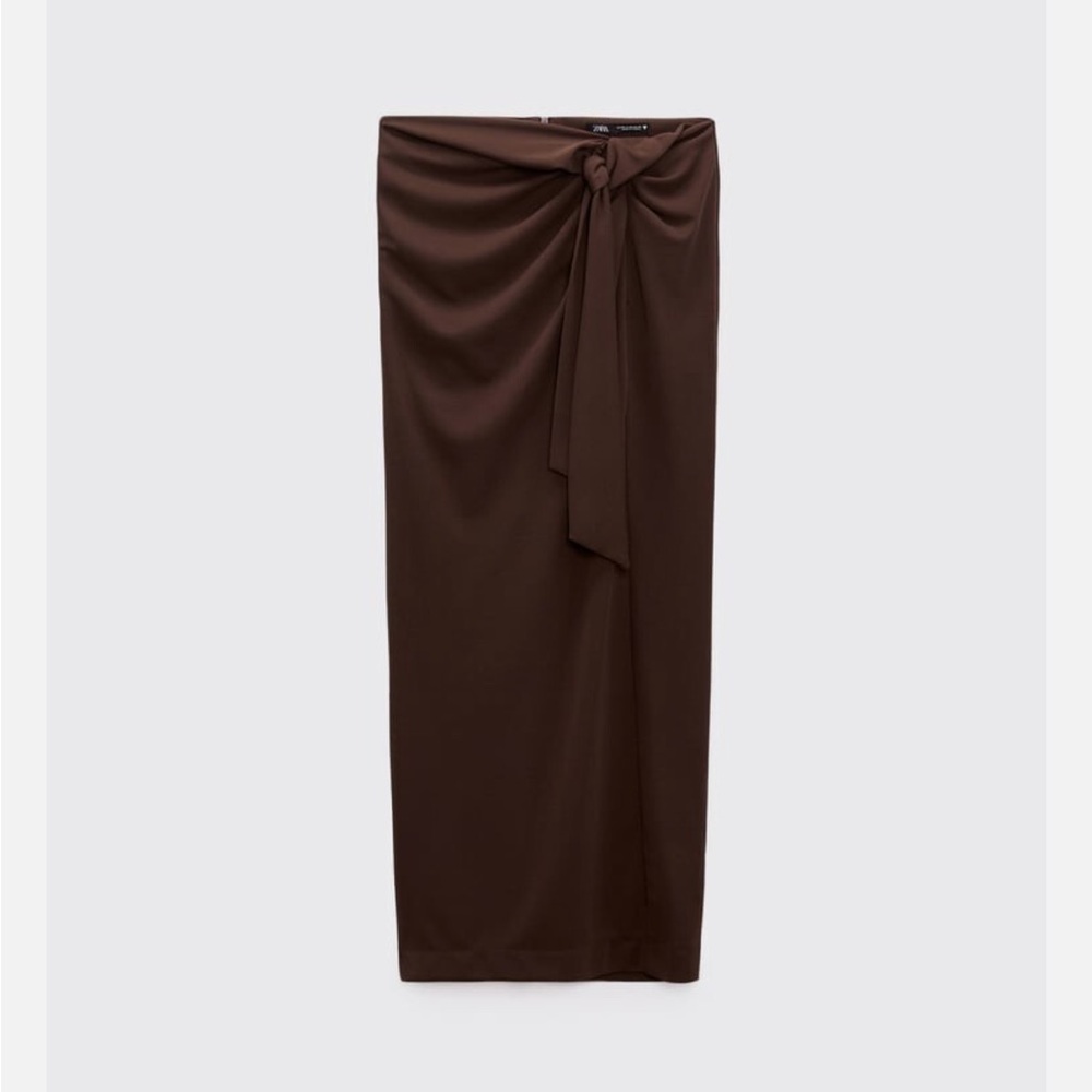 Zara Brown Maxi Skirt